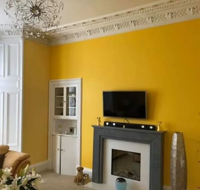 Qualified Painters and Decorators in Blantyre